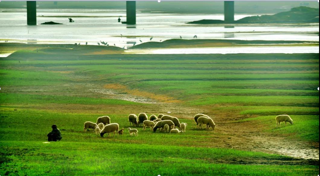 微信图片_20211222112540 微信图片_20211222112540.jpg