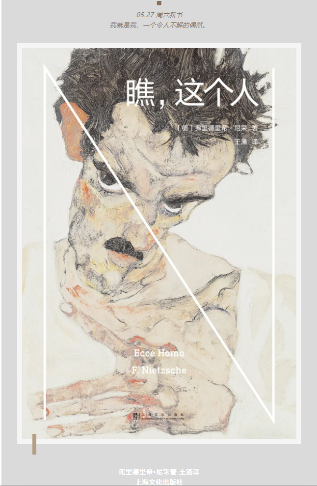 image image.png?v=1763563271771