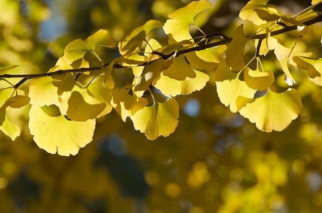 微信图片_202012142026125