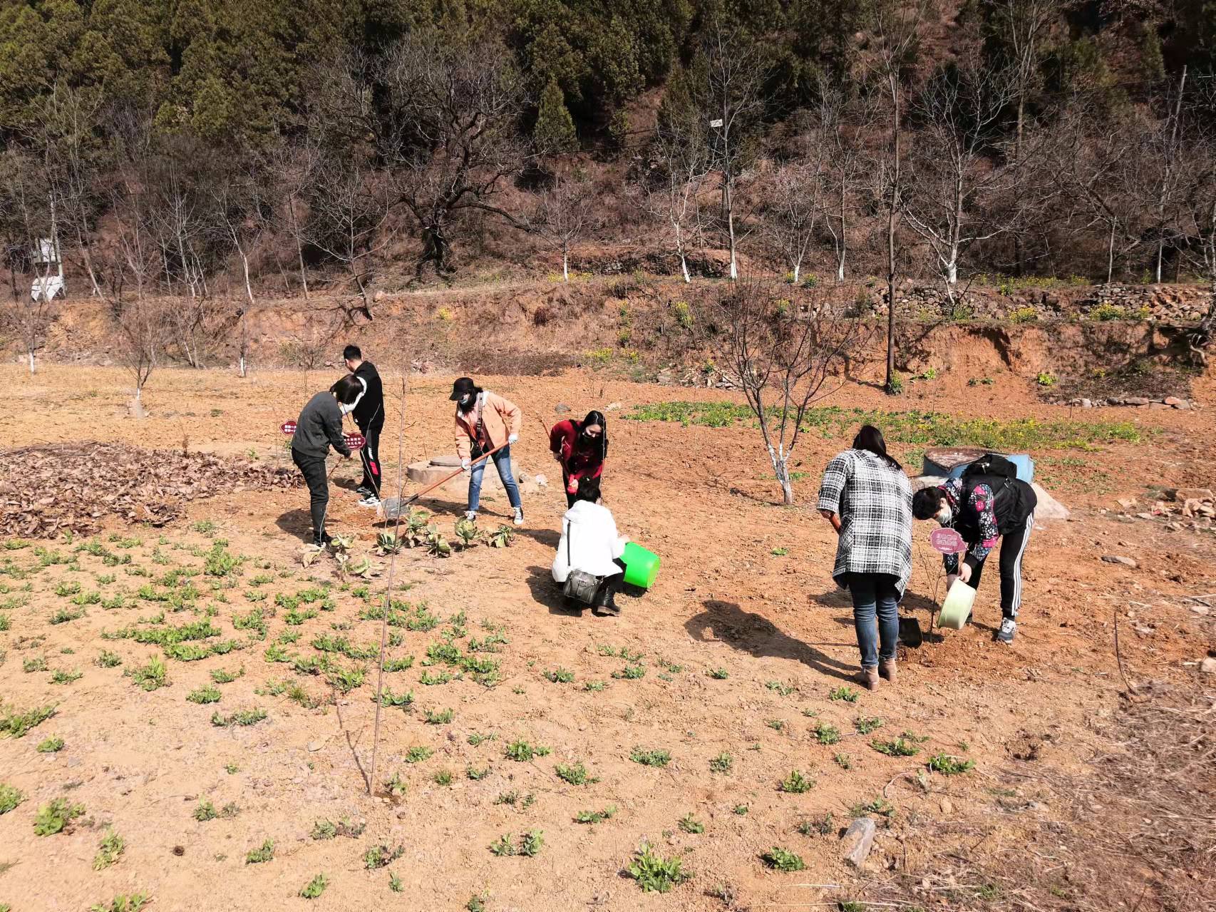 1 1.jpg?v=1763162684113