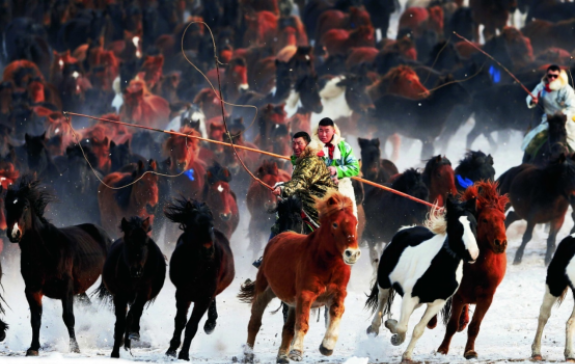 图片 图片.png?v=1762140392428