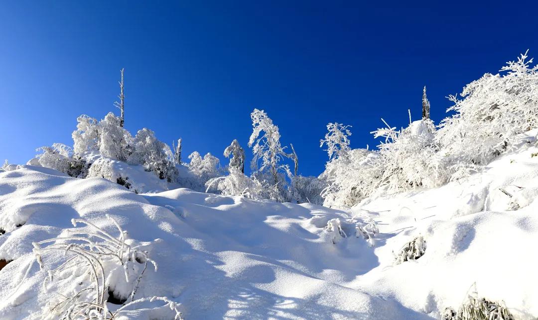 微信图片_20210118161108