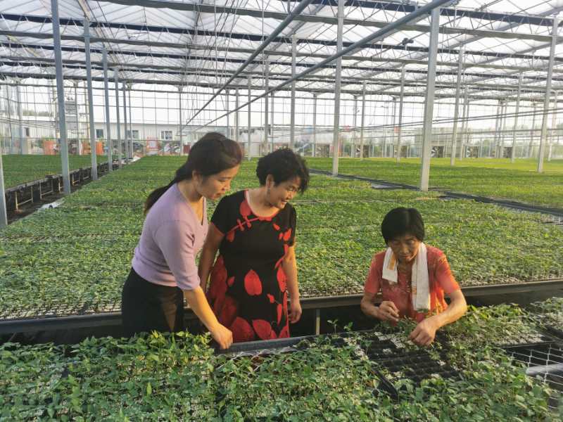 微信图片_20200824090420