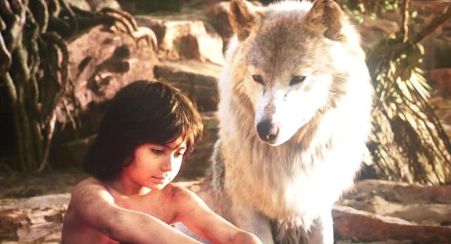 d21e4ce1f02e47808ad041df737ffea6_th d21e4ce1f02e47808ad041df737ffea6_th.jpg?v=1762762159454