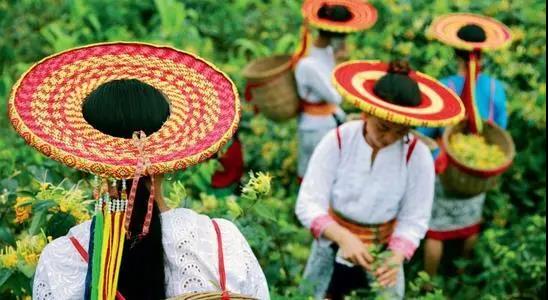 微信图片_20200506140753 微信图片_20200506140753.jpg