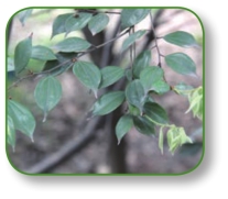 pagenumber_ebook=143,pagenumber_book=130