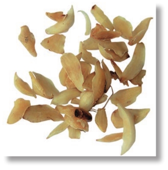 pagenumber_ebook=281,pagenumber_book=268