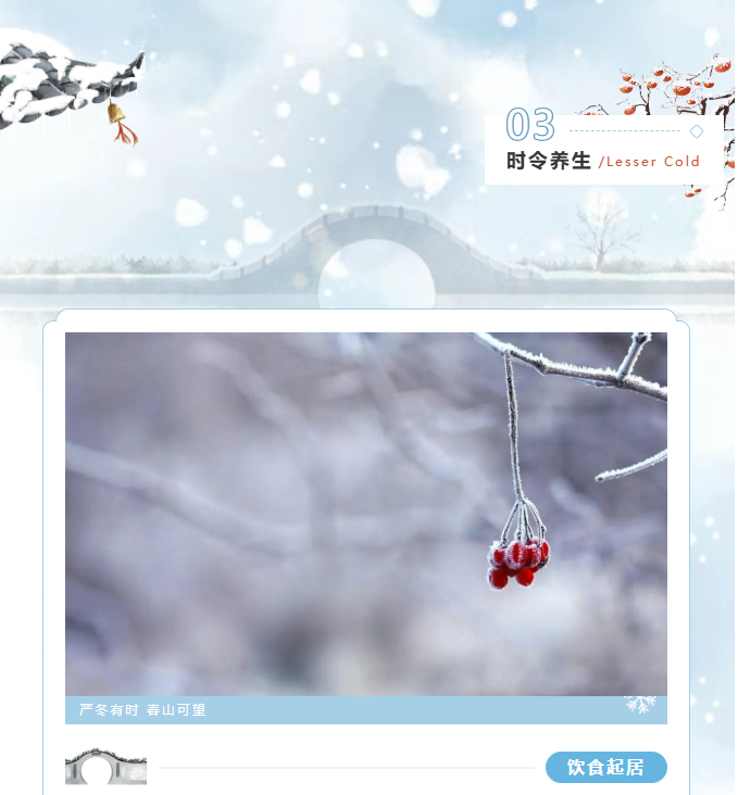 image.png?v=1770178027538