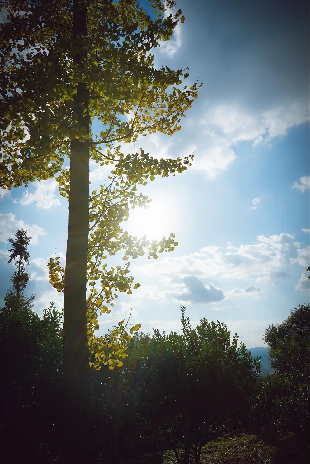 微信图片_20201124234048 微信图片_20201124234048.jpg