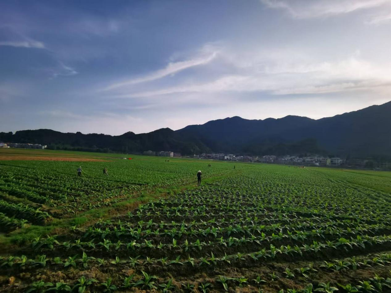 图片11 图片11.png