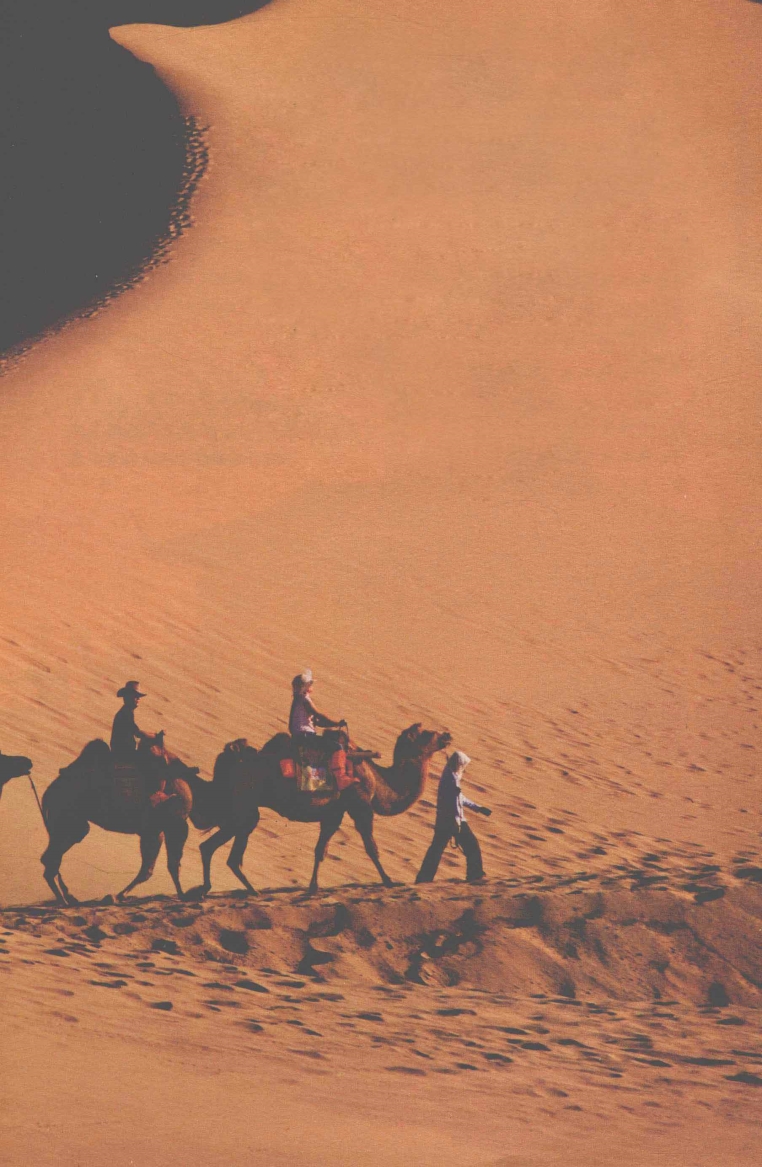 pagenumber_ebook=211,pagenumber_book=203