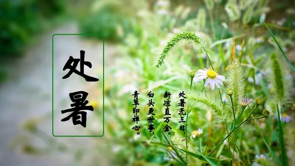 推 推.jpg?v=1765913837081