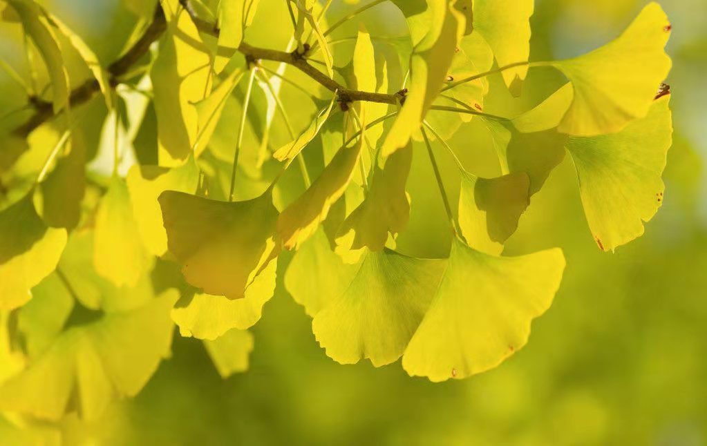 6f1e504fe01ce694d407845ab6c202f