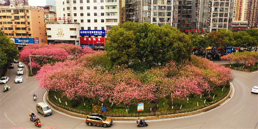 微信图片_20220320180344 微信图片_20220320180344.png