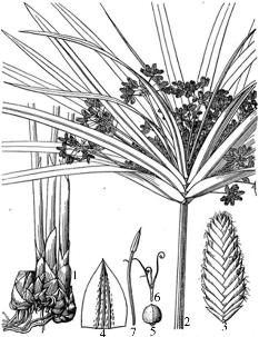 pagenumber_ebook=237,pagenumber_book=237