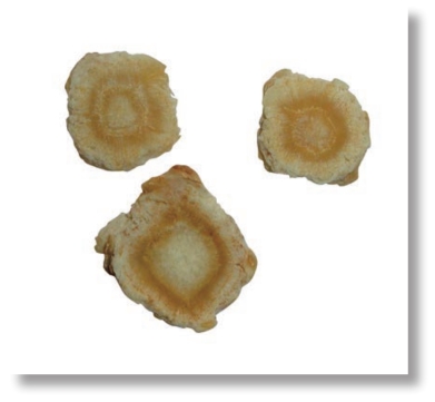 pagenumber_ebook=279,pagenumber_book=266