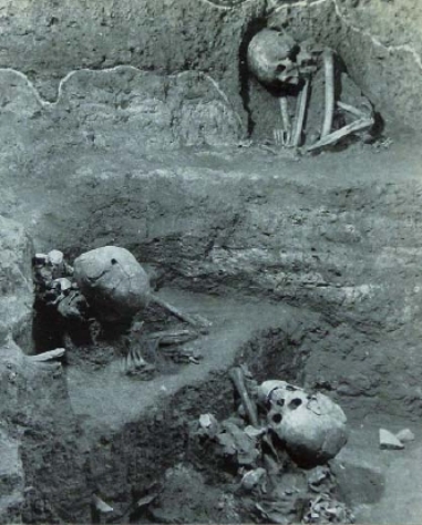 pagenumber_ebook=15,pagenumber_book=5