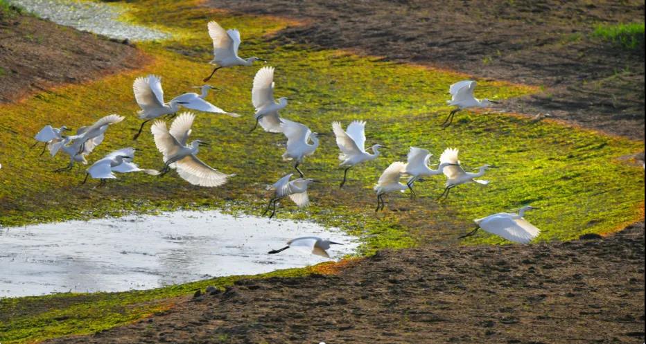 微信图片_20211222112611 微信图片_20211222112611.jpg