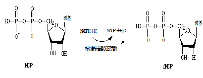QQ图片20190429095418.png