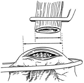 pagenumber_ebook=134,pagenumber_book=119