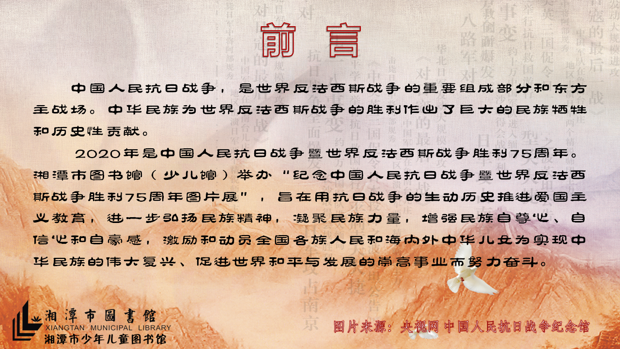 image image.png?v=1764802304411