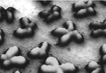 pagenumber_ebook=40,pagenumber_book=40