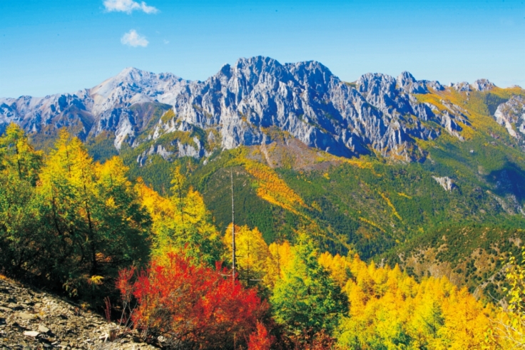 pagenumber_ebook=110,pagenumber_book=98