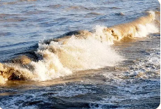 微信图片_20220909091754 微信图片_20220909091754.png?v=1762504947104