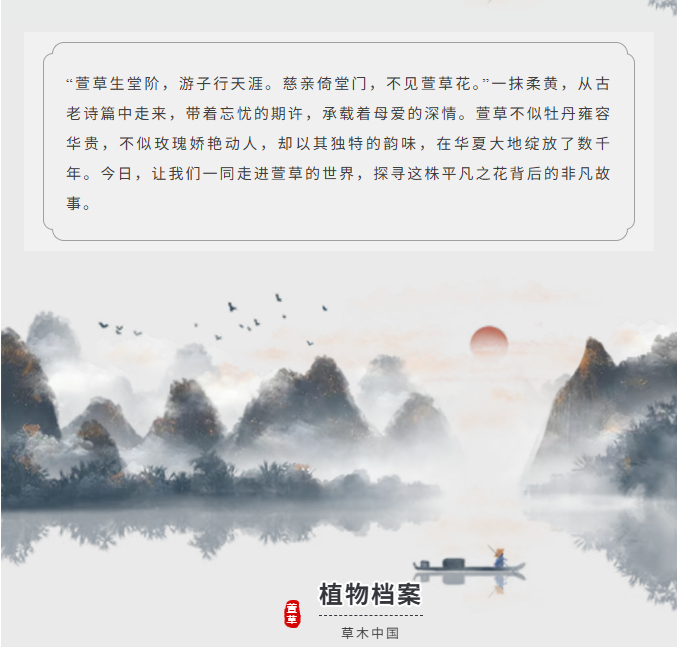 image.png?v=1766280841991