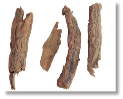 pagenumber_ebook=79,pagenumber_book=66