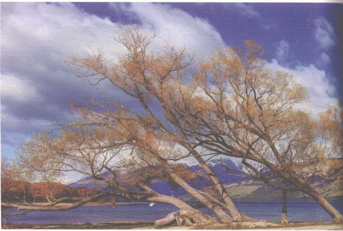 pagenumber_ebook=144,pagenumber_book=136