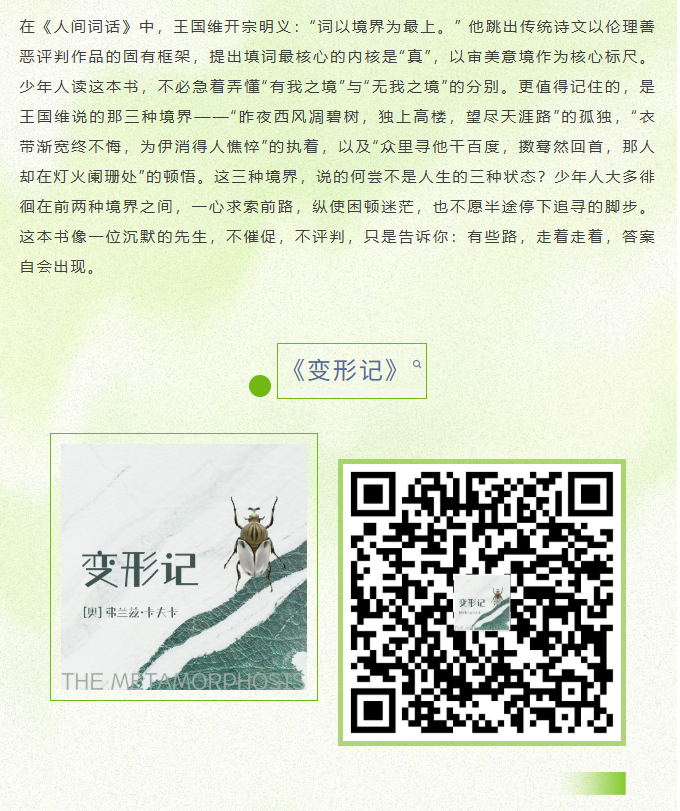 image.png?v=1785010462168