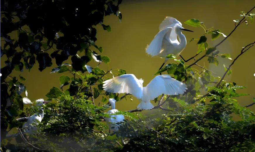 微信图片_20211222112543 微信图片_20211222112543.jpg