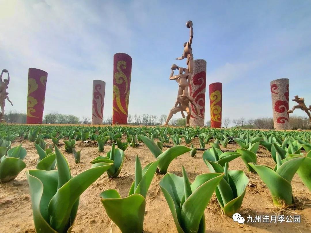 微信图片_20210329153748 微信图片_20210329153748.jpg