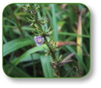 pagenumber_ebook=282,pagenumber_book=269