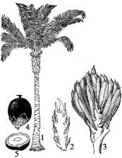 pagenumber_ebook=115,pagenumber_book=115