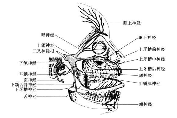 pagenumber_ebook=89,pagenumber_book=80