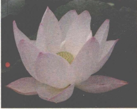 pagenumber_ebook=218,pagenumber_book=210