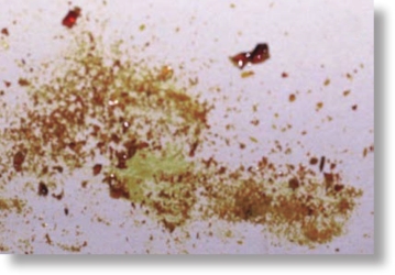 pagenumber_ebook=71,pagenumber_book=58