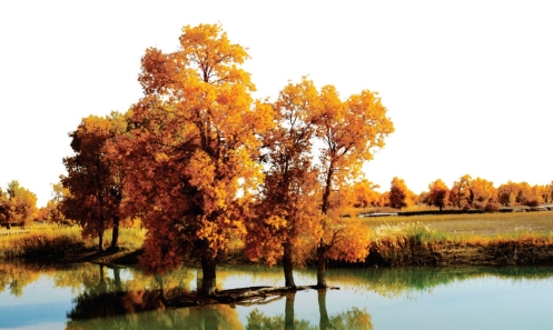 pagenumber_ebook=20,pagenumber_book=9