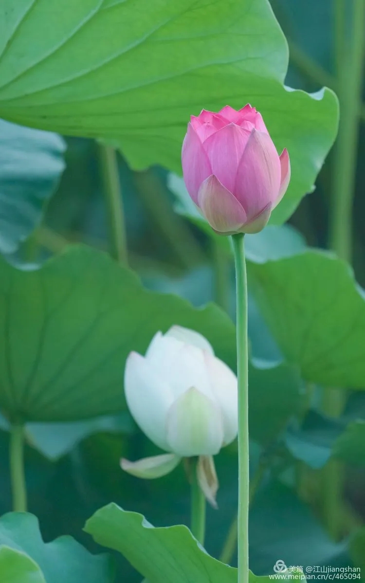 640.webp 640.webp.jpg