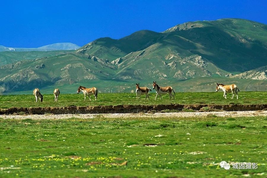 13 13.jpg?v=1765879816335