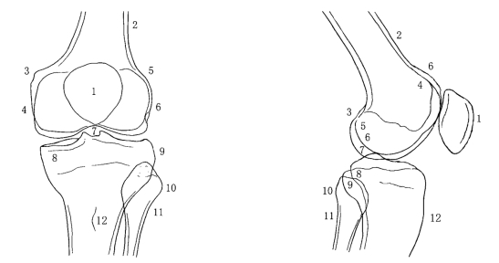 pagenumber_ebook=77,pagenumber_book=59