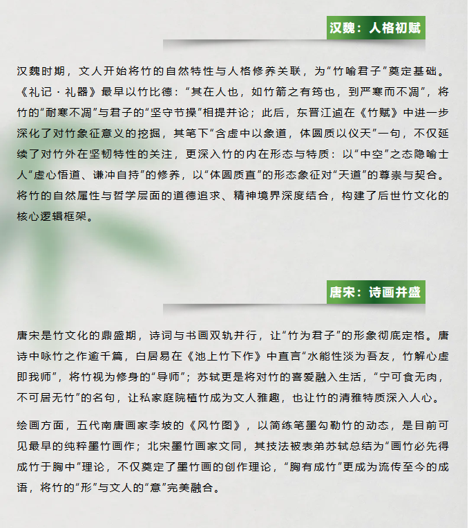 image.png?v=1762126139768