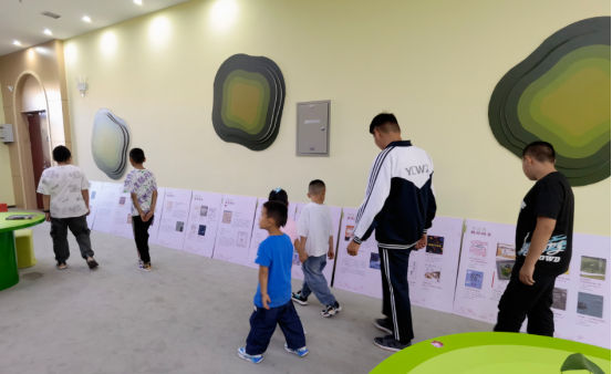 image image.png?v=1763579661500