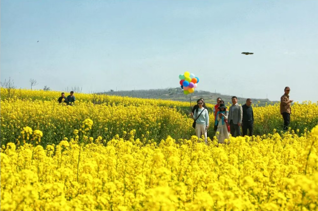 b707361465285dd804472dc0f397d461 b707361465285dd804472dc0f397d461png