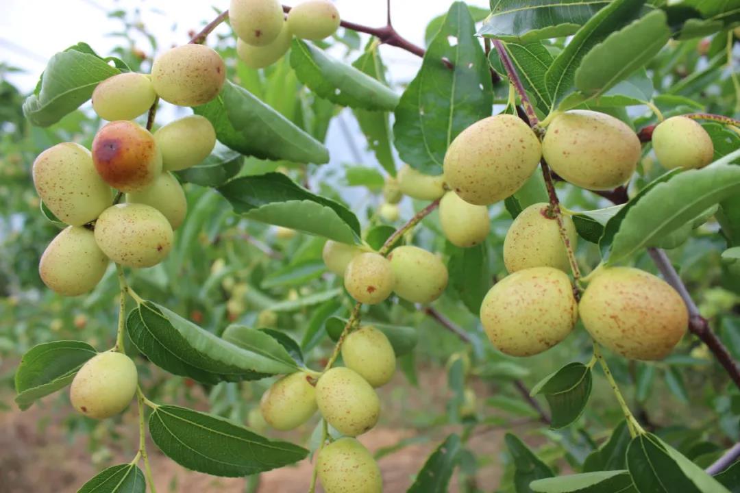 微信图片_20200917001414