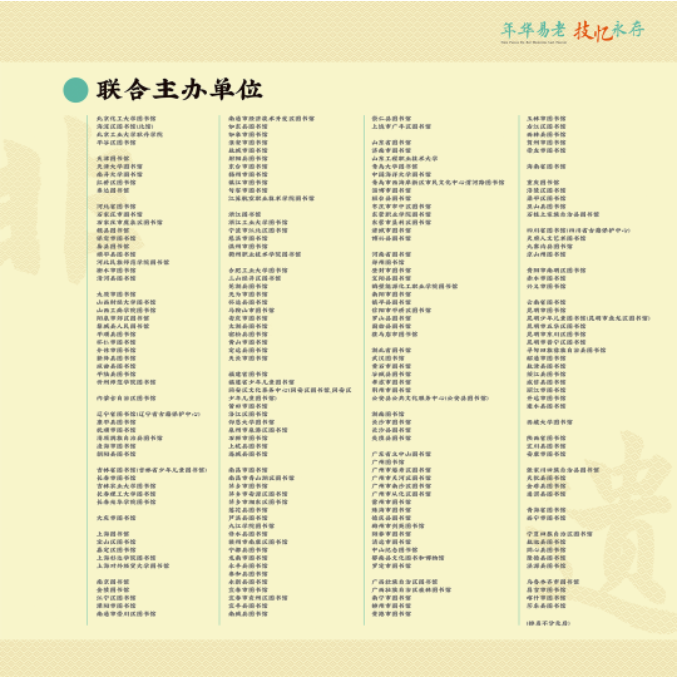 image image.png?v=1763569462501