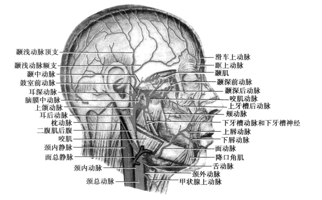 pagenumber_ebook=80,pagenumber_book=71