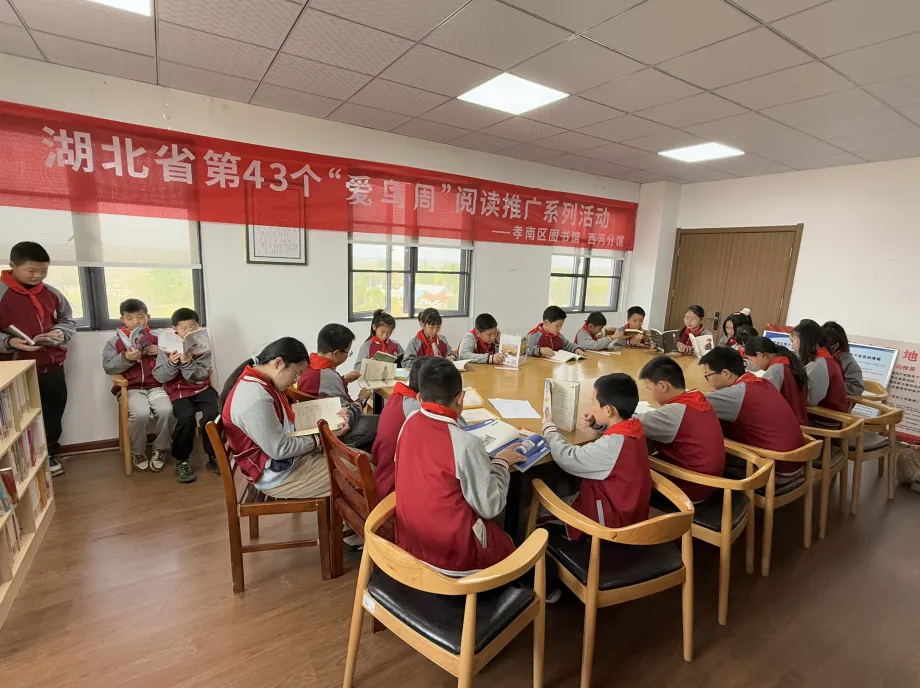 image image.png?v=1762620002033